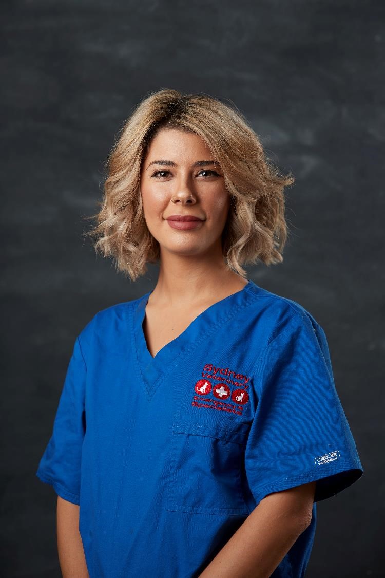 Ornella J - Veterinary Nurse at Sydney Veterinary Emergency and Specialists