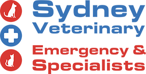 24-Hour Pet Support - Sydney Vet Emergency & Specialists